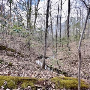 Photo #44 of SOLD property in Off Baltimore Church Road , Warrenton, NC 72.5 acres