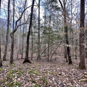 Photo #45 of SOLD property in Off Baltimore Church Road , Warrenton, NC 72.5 acres