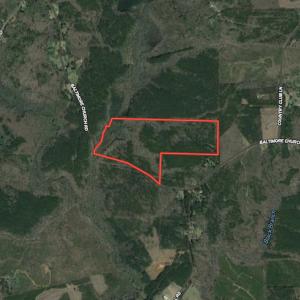 Photo #46 of SOLD property in Off Baltimore Church Road , Warrenton, NC 72.5 acres