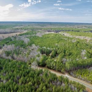 Photo #4 of SOLD property in Off Baltimore Church Road , Warrenton, NC 72.5 acres