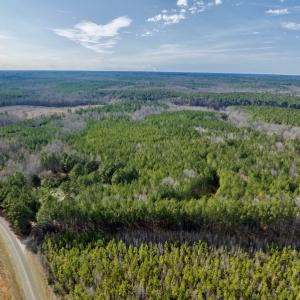 Photo #5 of SOLD property in Off Baltimore Church Road , Warrenton, NC 72.5 acres