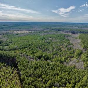 Photo #6 of SOLD property in Off Baltimore Church Road , Warrenton, NC 72.5 acres