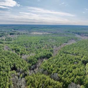 Photo #7 of SOLD property in Off Baltimore Church Road , Warrenton, NC 72.5 acres