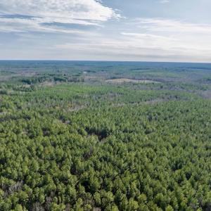 Photo #8 of SOLD property in Off Baltimore Church Road , Warrenton, NC 72.5 acres