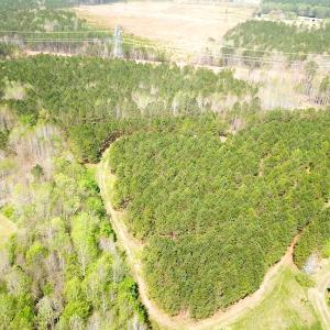 Photo #2 of SOLD property in 2624 Jackson Rd , Suffolk, VA 18.0 acres