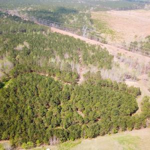 Photo #3 of SOLD property in 2624 Jackson Rd , Suffolk, VA 18.0 acres