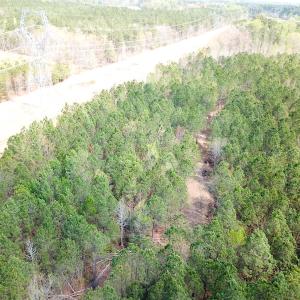Photo #9 of SOLD property in 2624 Jackson Rd , Suffolk, VA 18.0 acres