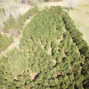 Photo #11 of SOLD property in 2624 Jackson Rd , Suffolk, VA 18.0 acres