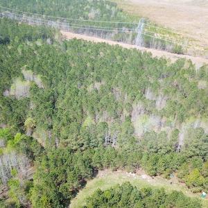 Photo #12 of SOLD property in 2624 Jackson Rd , Suffolk, VA 18.0 acres