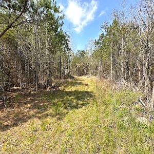 Photo #13 of SOLD property in 2624 Jackson Rd , Suffolk, VA 18.0 acres