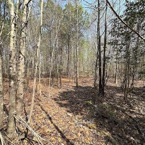 Photo #15 of SOLD property in 2624 Jackson Rd , Suffolk, VA 18.0 acres