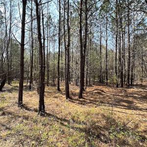 Photo #16 of SOLD property in 2624 Jackson Rd , Suffolk, VA 18.0 acres