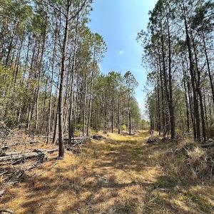 Photo #18 of SOLD property in 2624 Jackson Rd , Suffolk, VA 18.0 acres