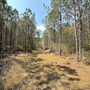 Photo #20 of SOLD property in 2624 Jackson Rd , Suffolk, VA 18.0 acres