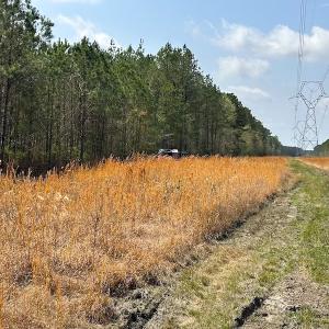 Photo #24 of SOLD property in 2624 Jackson Rd , Suffolk, VA 18.0 acres