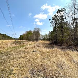 Photo #25 of SOLD property in 2624 Jackson Rd , Suffolk, VA 18.0 acres