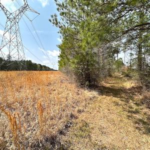 Photo #26 of SOLD property in 2624 Jackson Rd , Suffolk, VA 18.0 acres