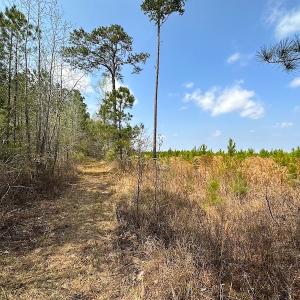 Photo #27 of SOLD property in 2624 Jackson Rd , Suffolk, VA 18.0 acres