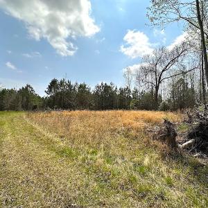 Photo #29 of SOLD property in 2624 Jackson Rd , Suffolk, VA 18.0 acres