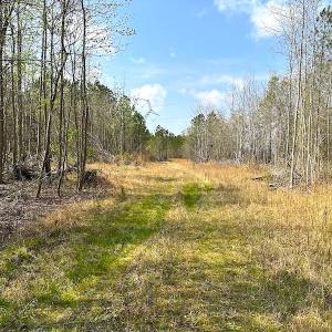 Photo #30 of SOLD property in 2624 Jackson Rd , Suffolk, VA 18.0 acres