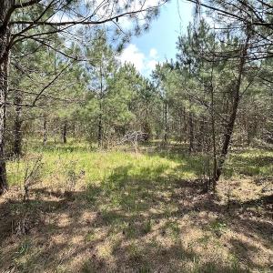 Photo #31 of SOLD property in 2624 Jackson Rd , Suffolk, VA 18.0 acres