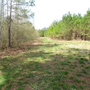 Photo #33 of SOLD property in 2624 Jackson Rd , Suffolk, VA 18.0 acres