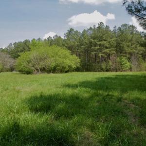 Photo #9 of SOLD property in Off Qualls Farm Rd, Enfield, NC 174.0 acres