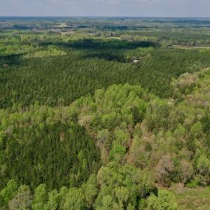 Photo #10 of SOLD property in Off Qualls Farm Rd, Enfield, NC 174.0 acres