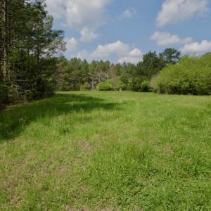 Photo #11 of SOLD property in Off Qualls Farm Rd, Enfield, NC 174.0 acres