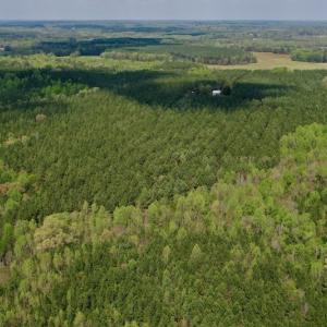 Photo #12 of SOLD property in Off Qualls Farm Rd, Enfield, NC 174.0 acres
