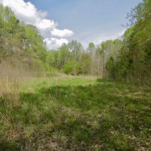 Photo #13 of SOLD property in Off Qualls Farm Rd, Enfield, NC 174.0 acres