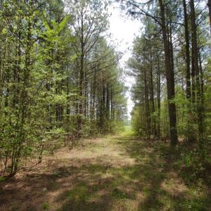 Photo #15 of SOLD property in Off Qualls Farm Rd, Enfield, NC 174.0 acres