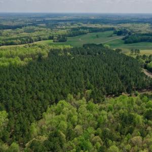 Photo #16 of SOLD property in Off Qualls Farm Rd, Enfield, NC 174.0 acres