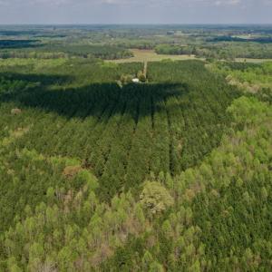 Photo #18 of SOLD property in Off Qualls Farm Rd, Enfield, NC 174.0 acres