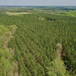 Photo #22 of SOLD property in Off Qualls Farm Rd, Enfield, NC 174.0 acres
