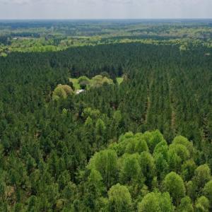 Photo #24 of SOLD property in Off Qualls Farm Rd, Enfield, NC 174.0 acres