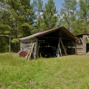 Photo #25 of SOLD property in Off Qualls Farm Rd, Enfield, NC 174.0 acres