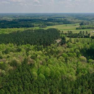 Photo #26 of SOLD property in Off Qualls Farm Rd, Enfield, NC 174.0 acres