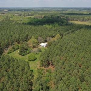 Photo #3 of SOLD property in Off Qualls Farm Rd, Enfield, NC 174.0 acres