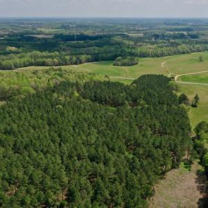 Photo #28 of SOLD property in Off Qualls Farm Rd, Enfield, NC 174.0 acres