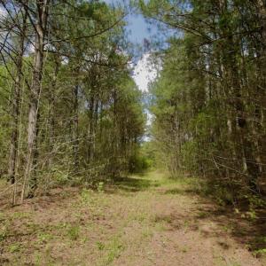 Photo #29 of SOLD property in Off Qualls Farm Rd, Enfield, NC 174.0 acres