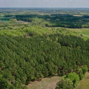 Photo #30 of SOLD property in Off Qualls Farm Rd, Enfield, NC 174.0 acres