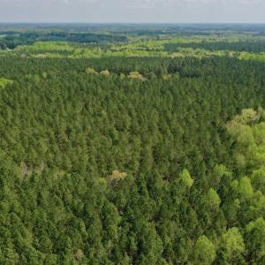 Photo #32 of SOLD property in Off Qualls Farm Rd, Enfield, NC 174.0 acres