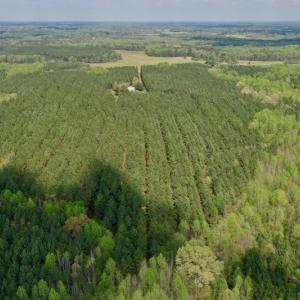 Photo #4 of SOLD property in Off Qualls Farm Rd, Enfield, NC 174.0 acres