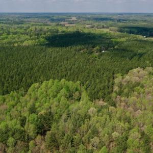 Photo #34 of SOLD property in Off Qualls Farm Rd, Enfield, NC 174.0 acres