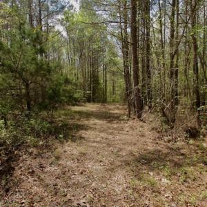 Photo #41 of SOLD property in Off Qualls Farm Rd, Enfield, NC 174.0 acres
