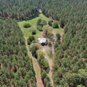Photo #5 of SOLD property in Off Qualls Farm Rd, Enfield, NC 174.0 acres