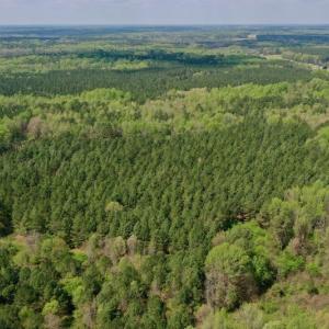 Photo #42 of SOLD property in Off Qualls Farm Rd, Enfield, NC 174.0 acres
