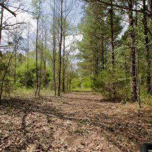 Photo #43 of SOLD property in Off Qualls Farm Rd, Enfield, NC 174.0 acres