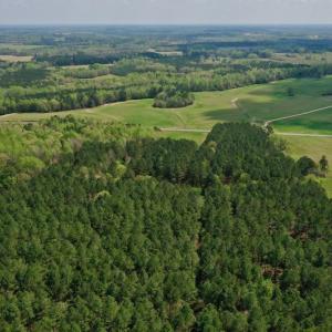 Photo #44 of SOLD property in Off Qualls Farm Rd, Enfield, NC 174.0 acres